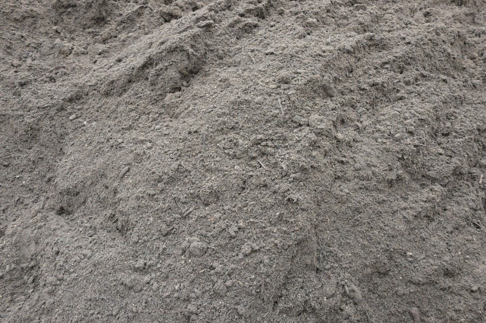Foto: Aanleg gazon, graszoden
